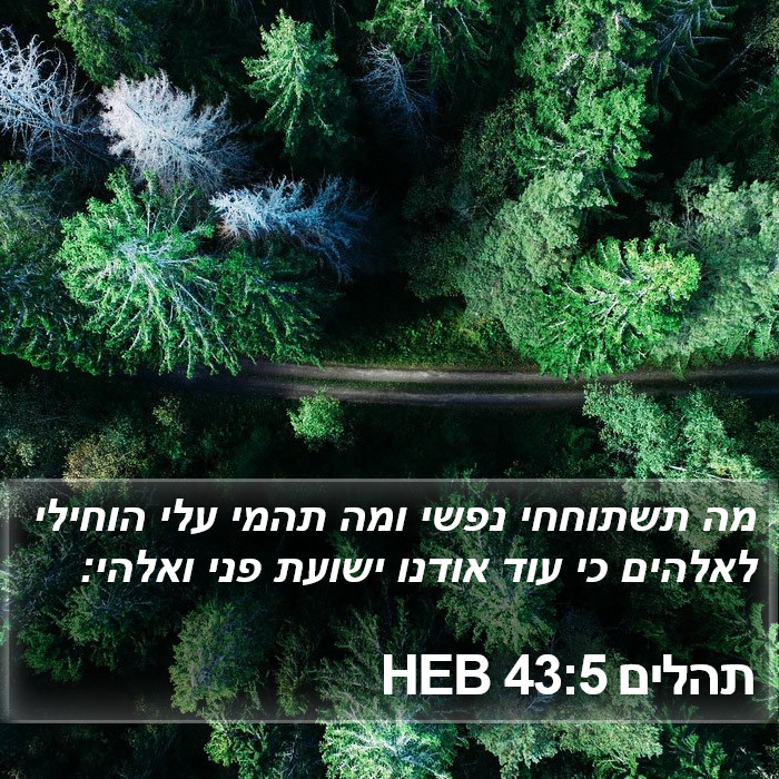 תהלים 43:5 HEB Bible Study