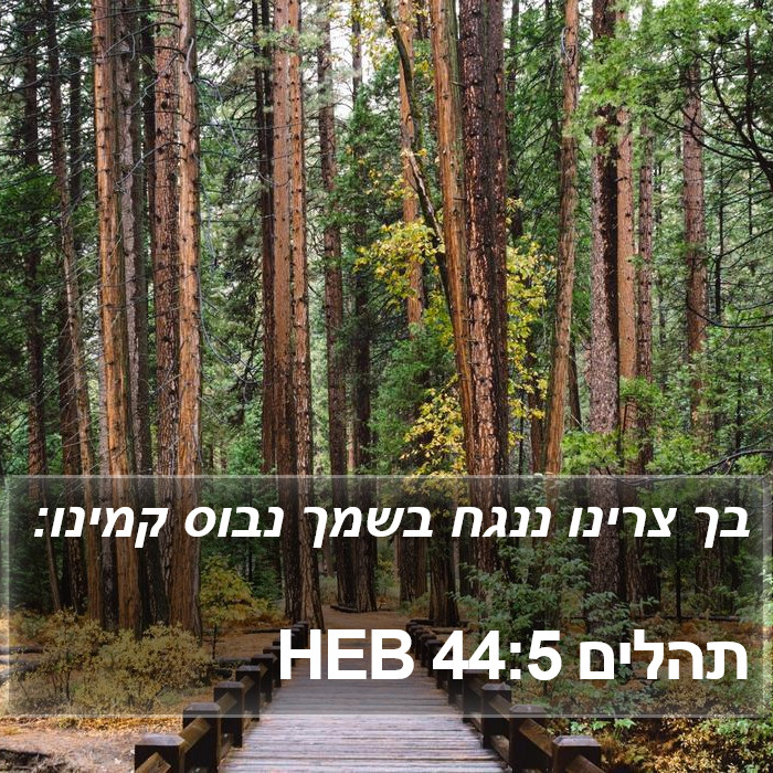 תהלים 44:5 HEB Bible Study