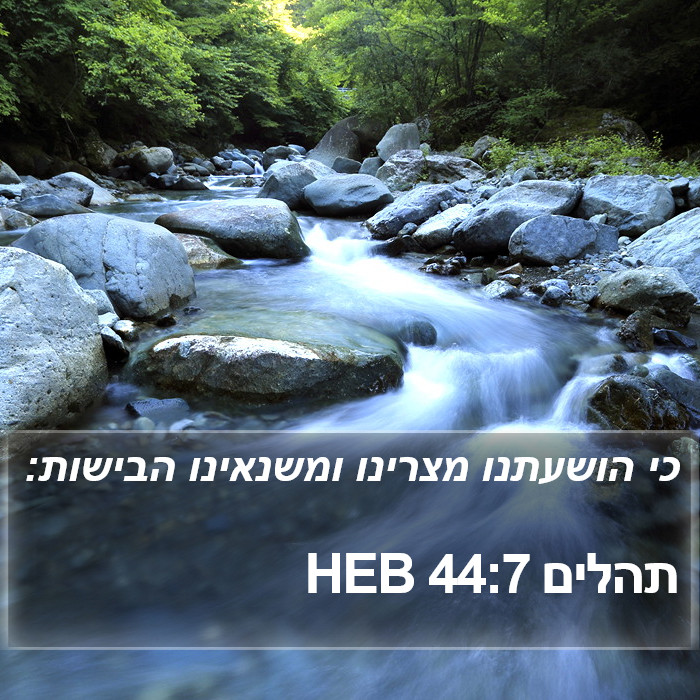 תהלים 44:7 HEB Bible Study