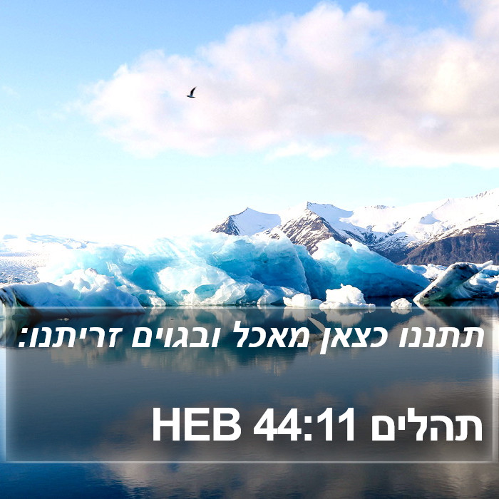 תהלים 44:11 HEB Bible Study