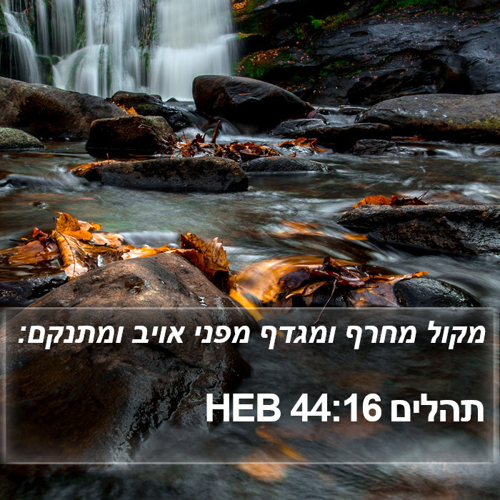 תהלים 44:16 HEB Bible Study