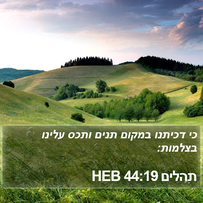 תהלים 44:19 HEB Bible Study