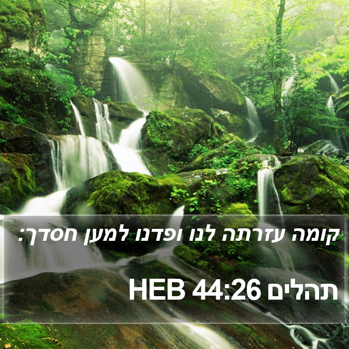 תהלים 44:26 HEB Bible Study