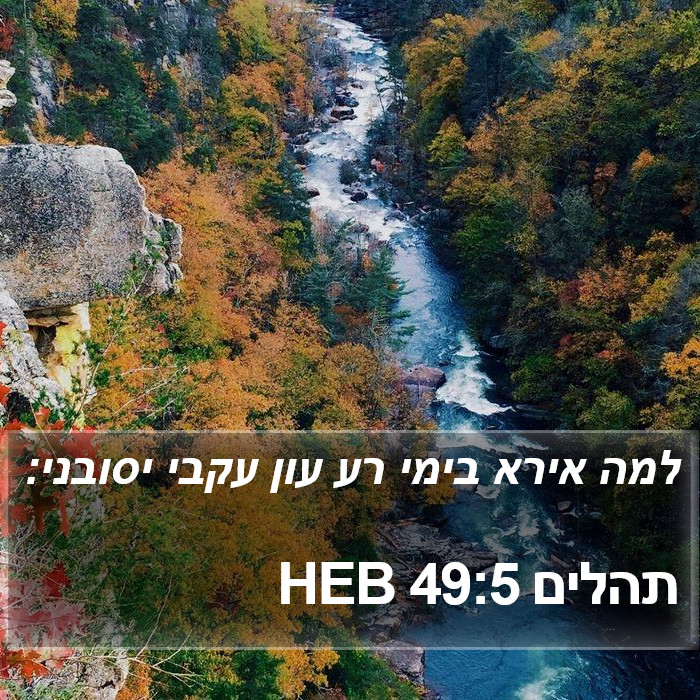 תהלים 49:5 HEB Bible Study