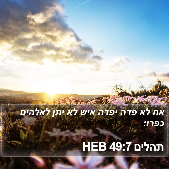 תהלים 49:7 HEB Bible Study