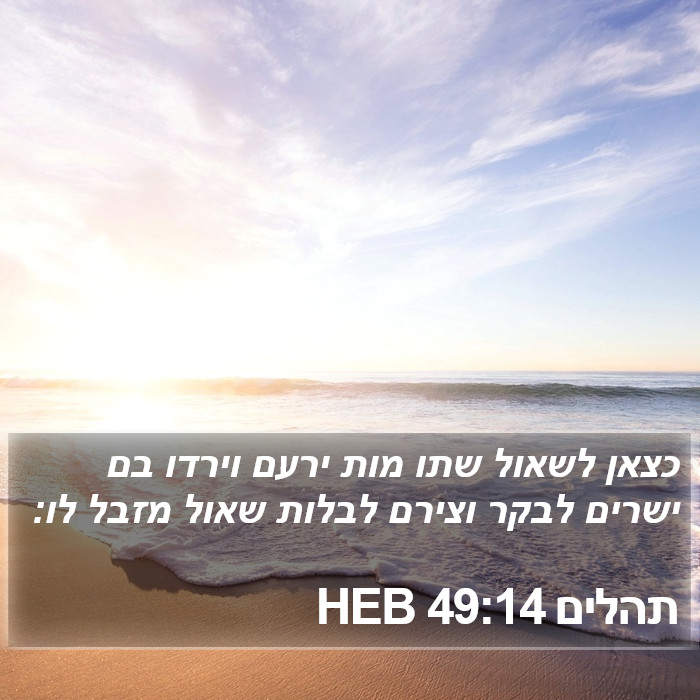 תהלים 49:14 HEB Bible Study