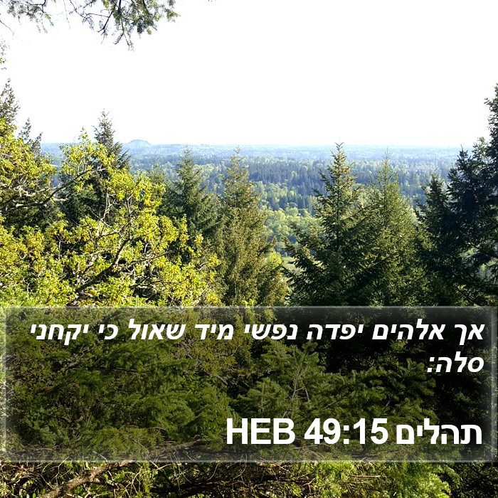 תהלים 49:15 HEB Bible Study