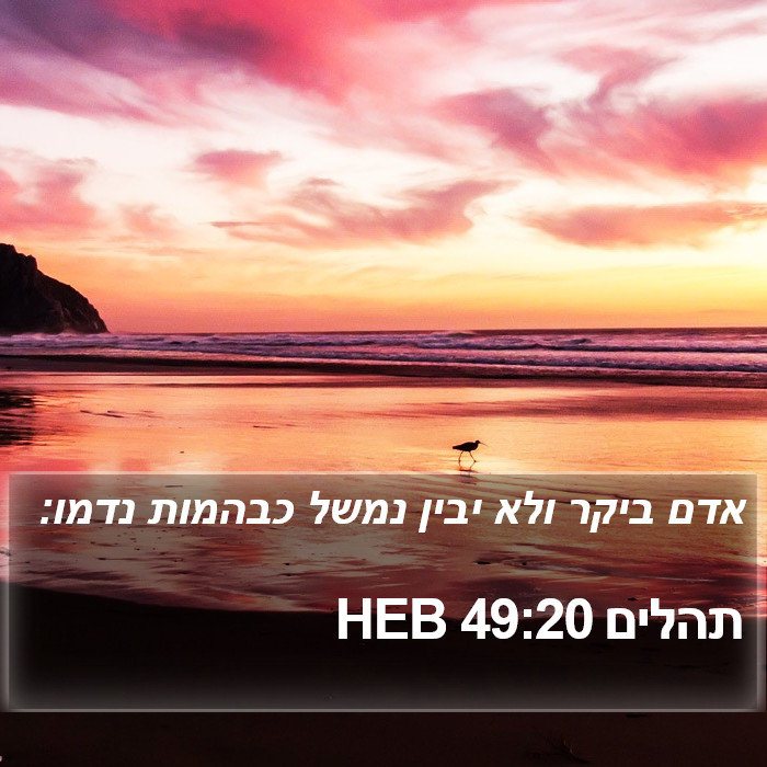 תהלים 49:20 HEB Bible Study