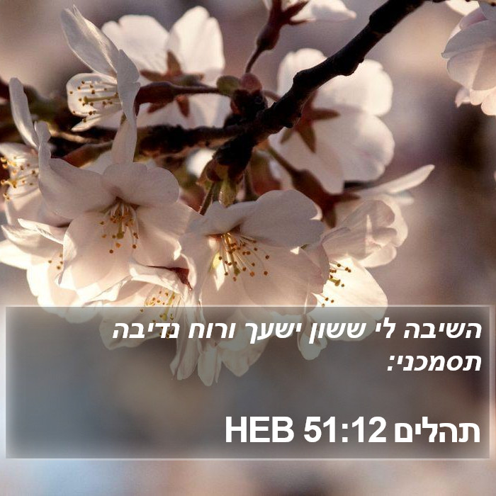 תהלים 51:12 HEB Bible Study