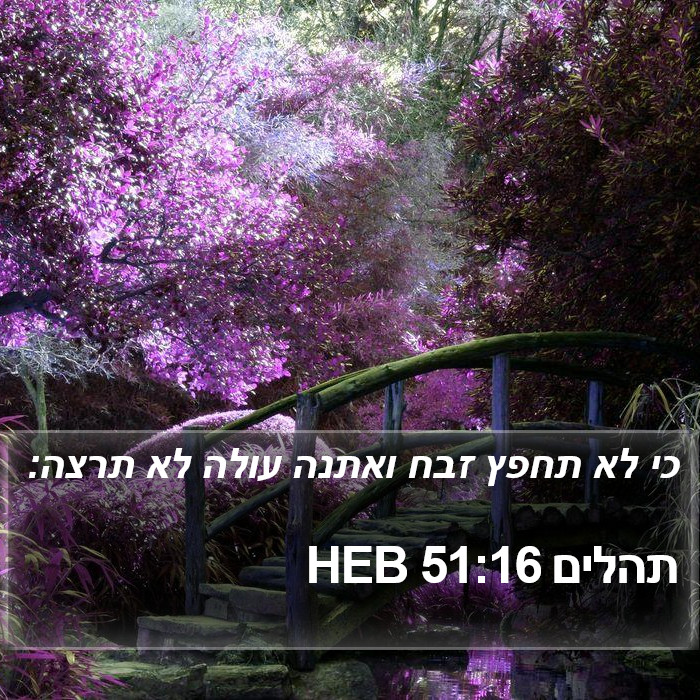 תהלים 51:16 HEB Bible Study