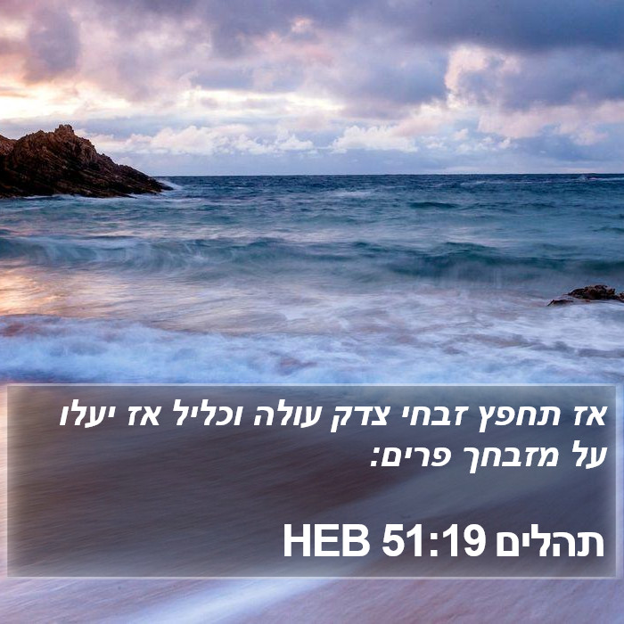 תהלים 51:19 HEB Bible Study