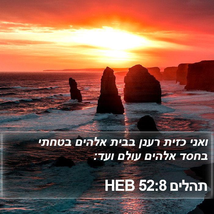 תהלים 52:8 HEB Bible Study