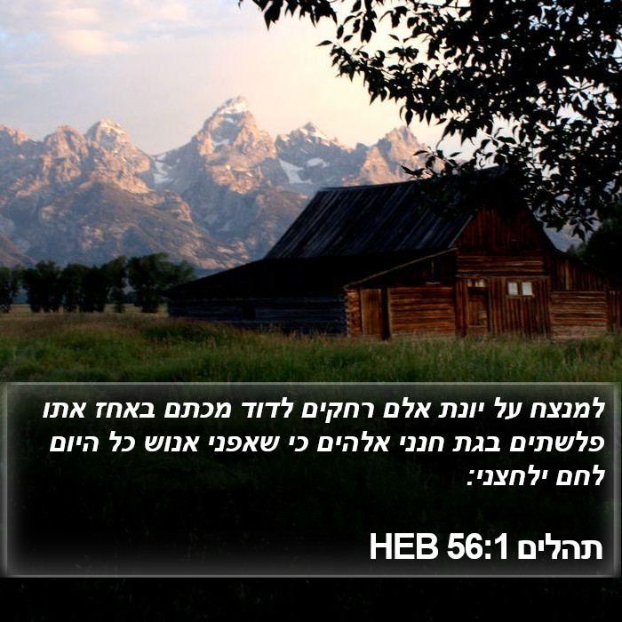 תהלים 56:1 HEB Bible Study