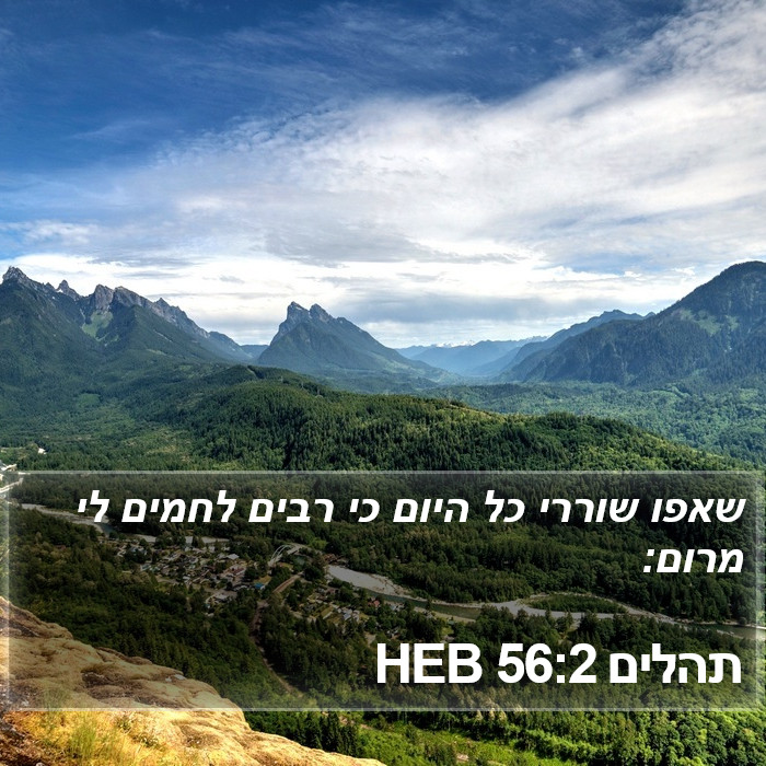 תהלים 56:2 HEB Bible Study