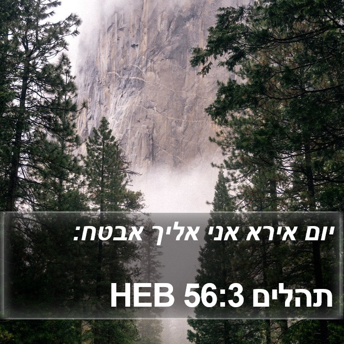 תהלים 56:3 HEB Bible Study