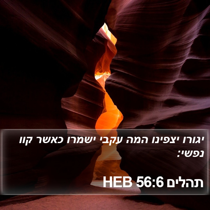 תהלים 56:6 HEB Bible Study