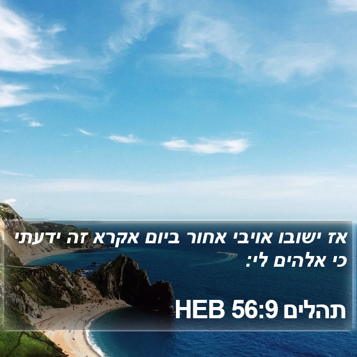 תהלים 56:9 HEB Bible Study