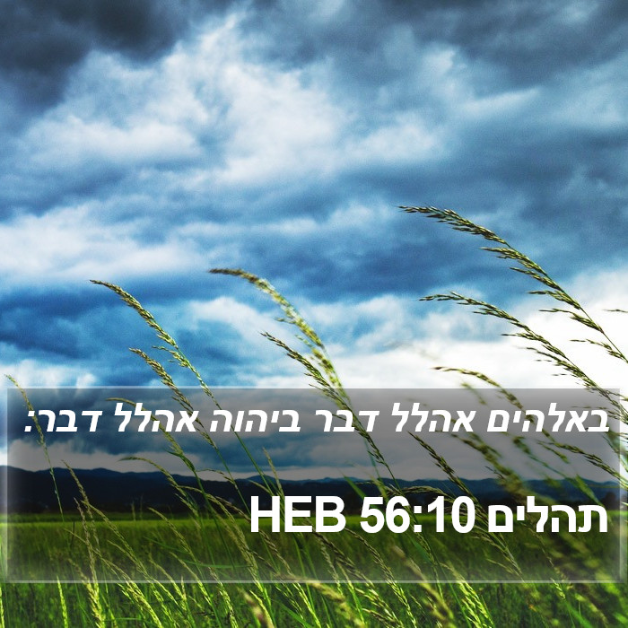 תהלים 56:10 HEB Bible Study