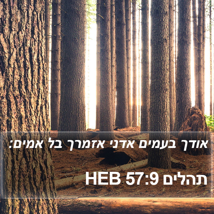 תהלים 57:9 HEB Bible Study