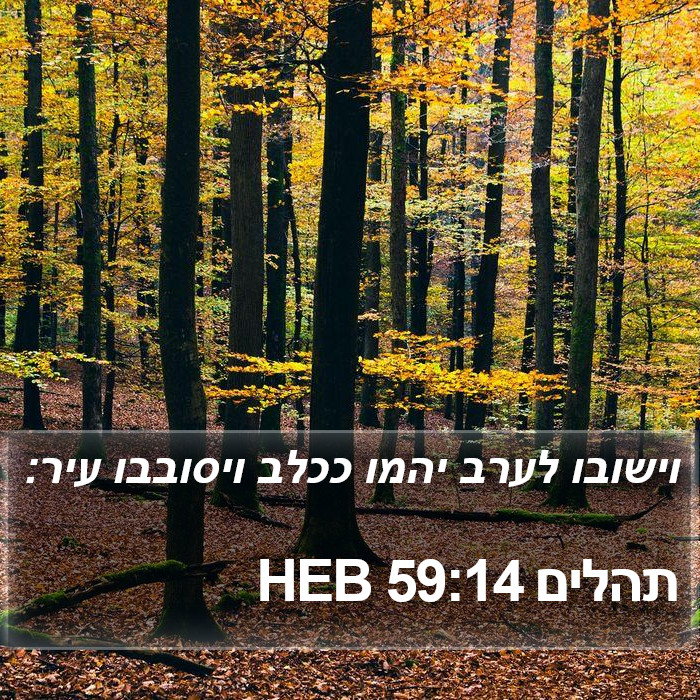 תהלים 59:14 HEB Bible Study