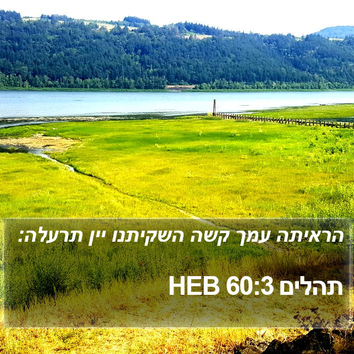 תהלים 60:3 HEB Bible Study