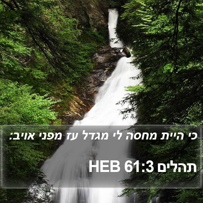 תהלים 61:3 HEB Bible Study