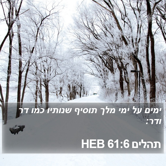 תהלים 61:6 HEB Bible Study