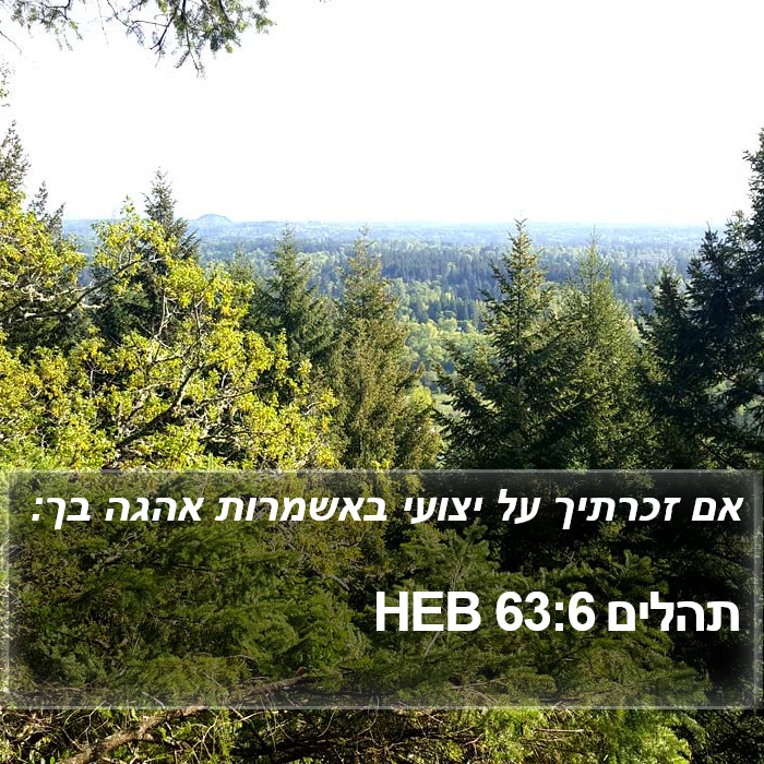 תהלים 63:6 HEB Bible Study