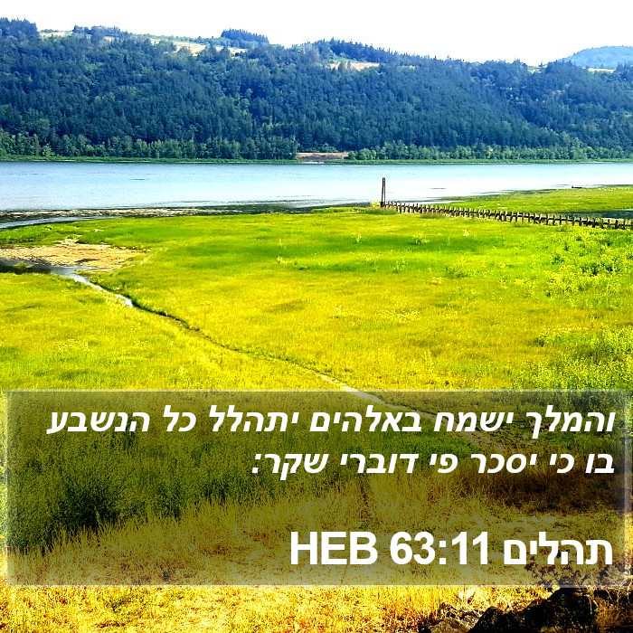 תהלים 63:11 HEB Bible Study