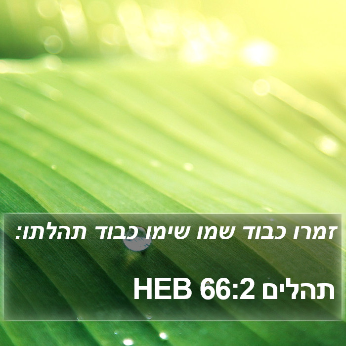 תהלים 66:2 HEB Bible Study