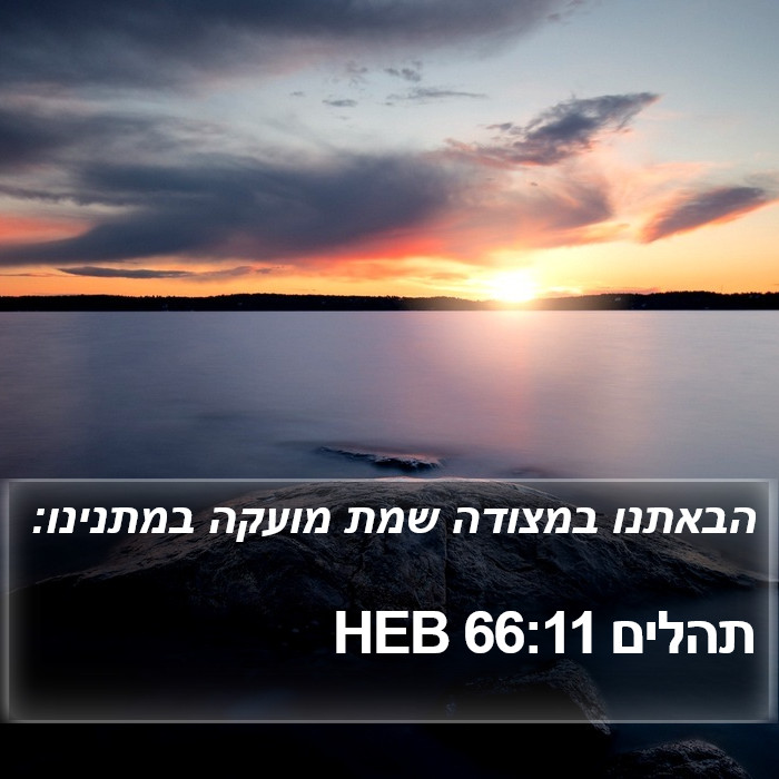 תהלים 66:11 HEB Bible Study