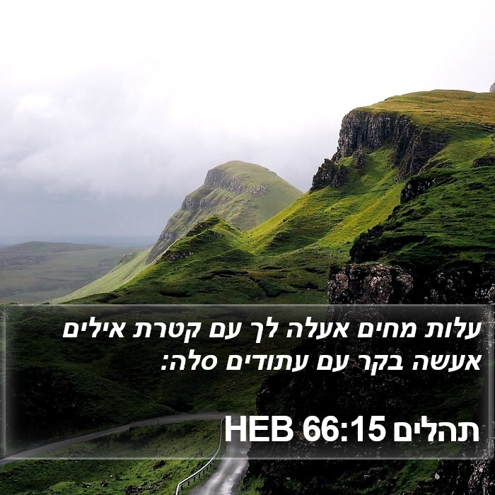 תהלים 66:15 HEB Bible Study