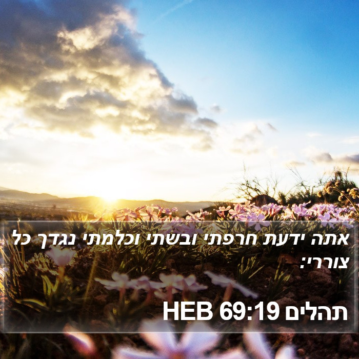 תהלים 69:19 HEB Bible Study