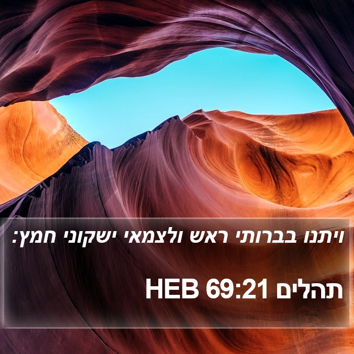 תהלים 69:21 HEB Bible Study