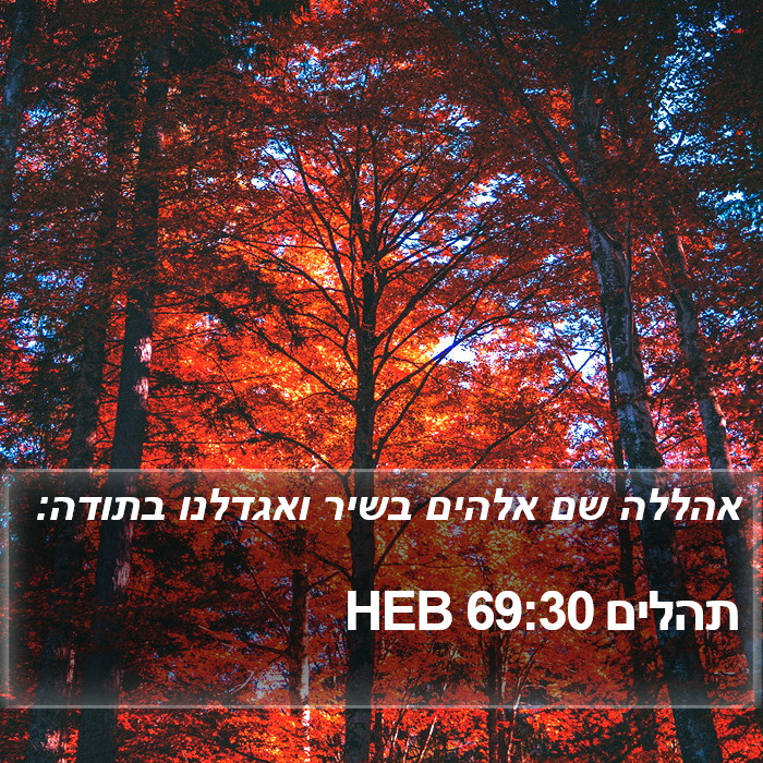 תהלים 69:30 HEB Bible Study