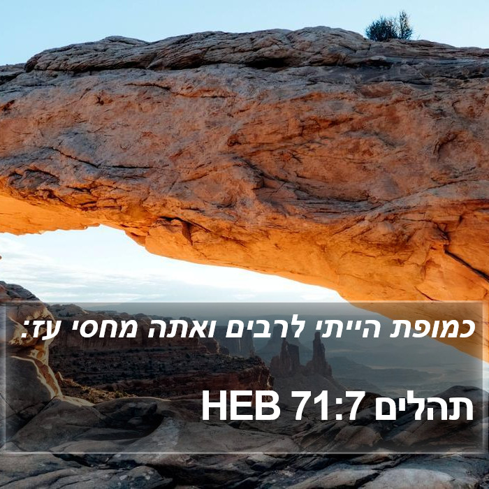 תהלים 71:7 HEB Bible Study