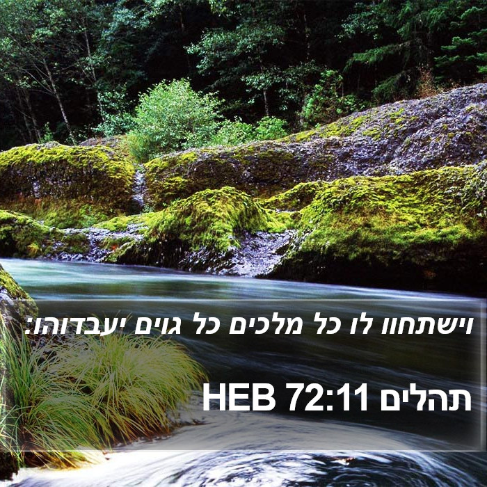 תהלים 72:11 HEB Bible Study