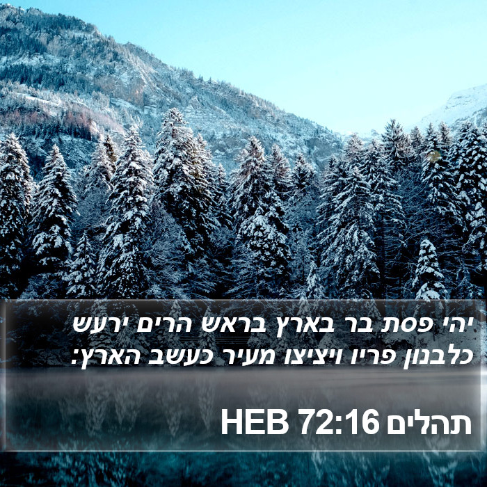 תהלים 72:16 HEB Bible Study