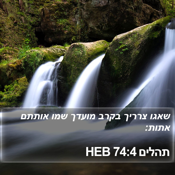 תהלים 74:4 HEB Bible Study