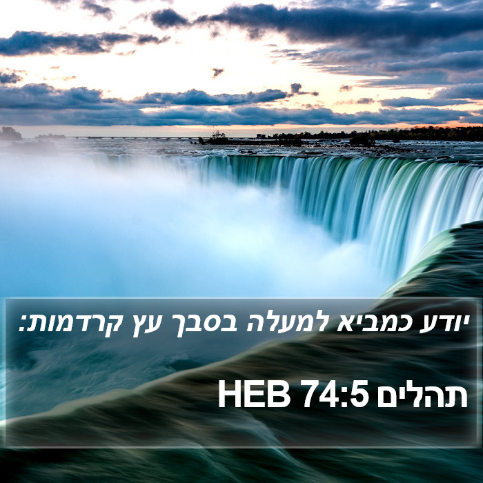 תהלים 74:5 HEB Bible Study