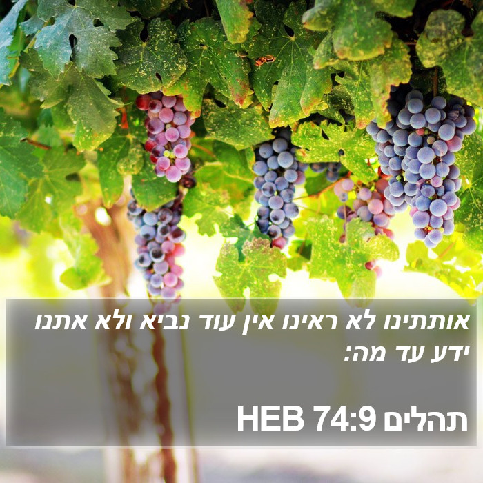 תהלים 74:9 HEB Bible Study