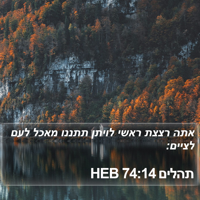 תהלים 74:14 HEB Bible Study