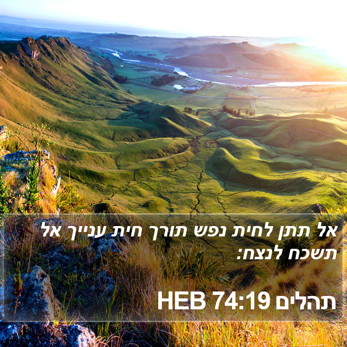 תהלים 74:19 HEB Bible Study