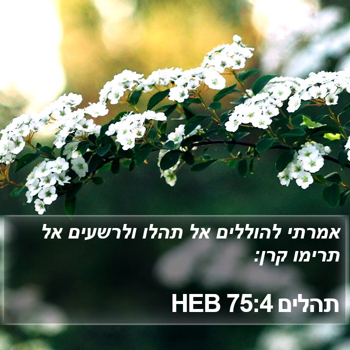 תהלים 75:4 HEB Bible Study