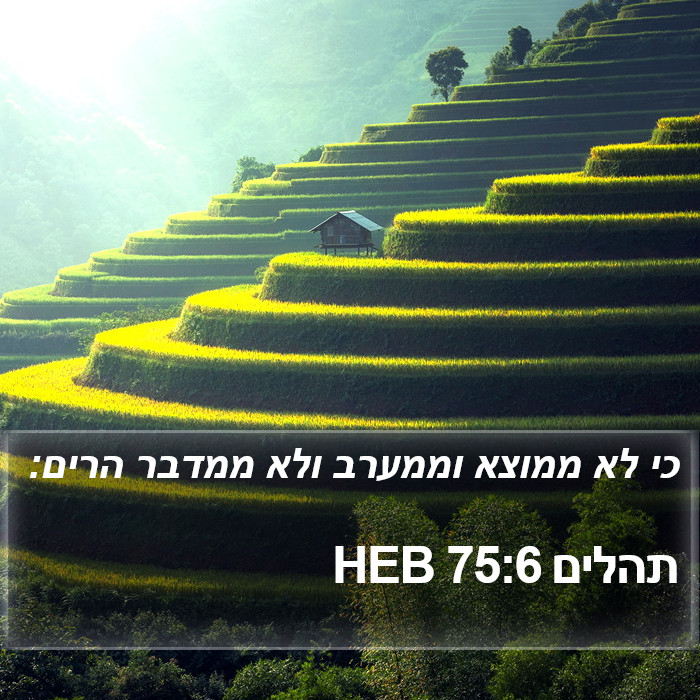 תהלים 75:6 HEB Bible Study