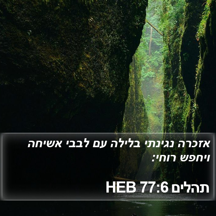 תהלים 77:6 HEB Bible Study