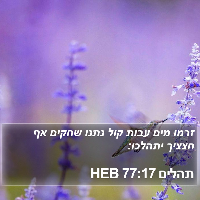 תהלים 77:17 HEB Bible Study