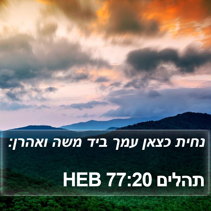 תהלים 77:20 HEB Bible Study