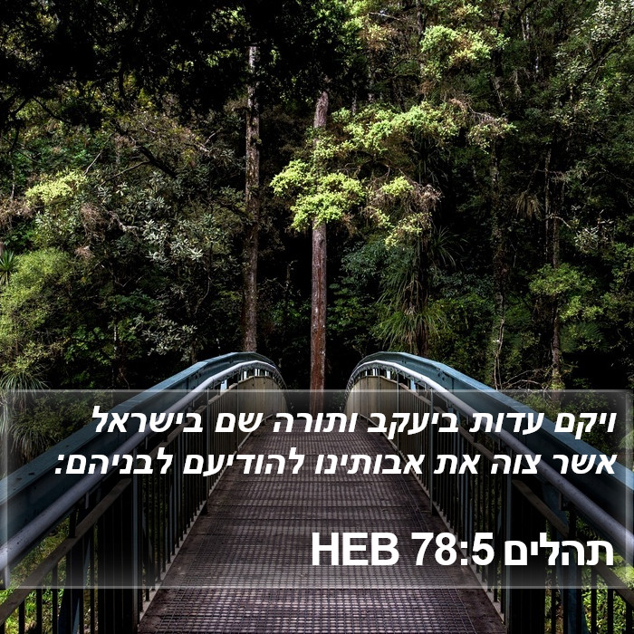 תהלים 78:5 HEB Bible Study