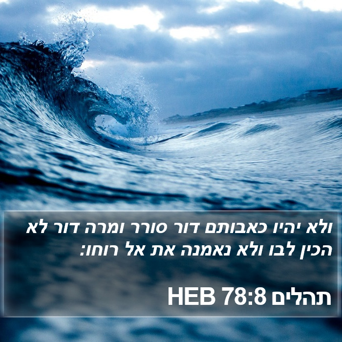 תהלים 78:8 HEB Bible Study